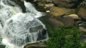 PICTURES/New River Gorge National River - WV/t_Sandstone Falls9.JPG